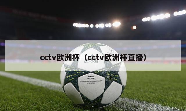 cctv欧洲杯（cctv欧洲杯直播）